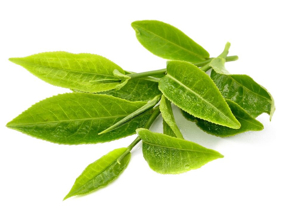 roheline tee Keto Matchais